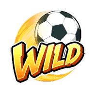 สัญลักษณ์ Wild