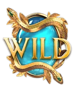 สัญลักษณ์ Wild