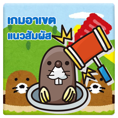 ประเภทแนวสัมผัส