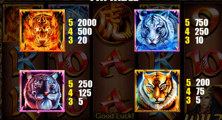 รีวิวสล็อต Tiger Warrior ค่าย SPADEGAMING