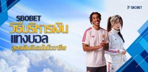 วิธีบริหารเงินแทงบอล